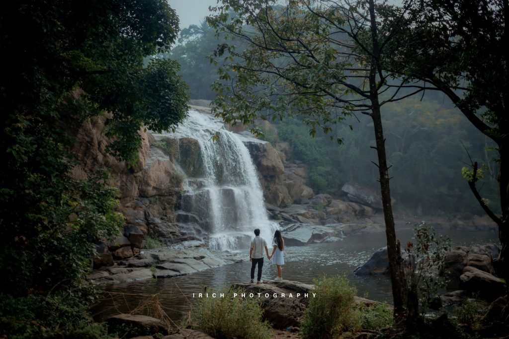 Pre Wedding Photoshoot in Munnar