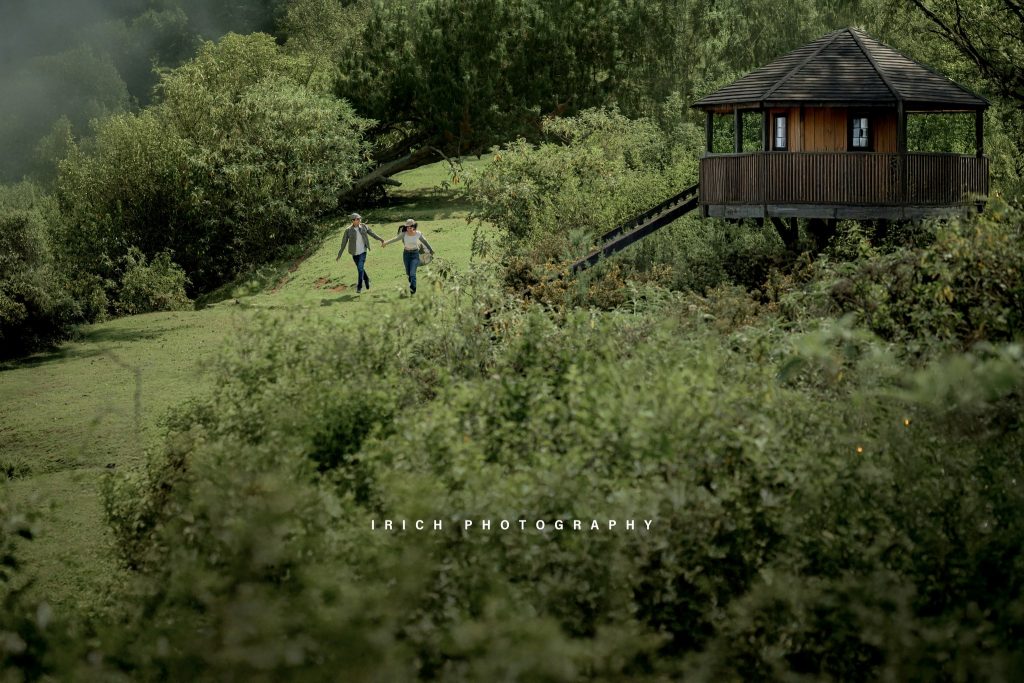 Pre-Wedding Shoot in Ooty 